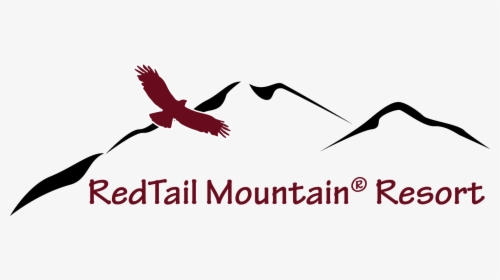 Transparent Red Tailed Hawk Png - Golden Eagle, Png Download, Transparent PNG