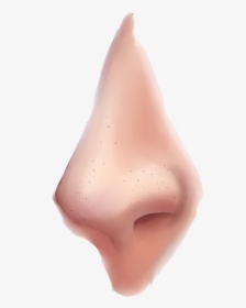 Nose Png Clipart - Semi Realistic Nose Tutorial, Transparent Png, Transparent PNG