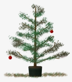 Christmas Recycling Facts Simply - Branch Pine Christmas Png, Transparent Png, Transparent PNG