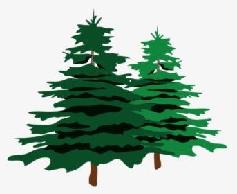 Christmas Tree Branch Png, Transparent Png, Transparent PNG