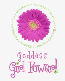 Goddess Girl Power - Barberton Daisy, HD Png Download, Transparent PNG
