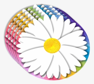 Daisy, 3d, Element, Rainbow, Background, Petals, Floral - Chamomile, HD Png Download, Transparent PNG