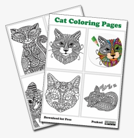 Cat Coloring Pages - Children, HD Png Download, Transparent PNG