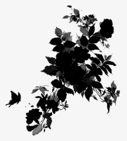 Black & White - Floral Illustration Transparent Background, HD Png Download, Transparent PNG