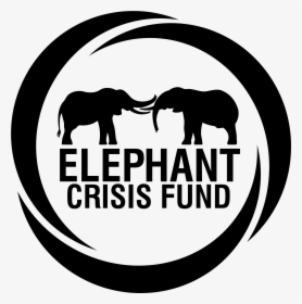 Elephant Crisis Fund Logo, HD Png Download, Transparent PNG