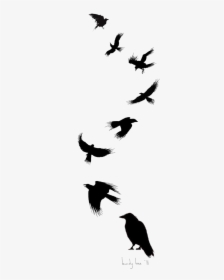 Tattoo Flight Crow Drawing Common Ink Bird Clipart - Raven Silhouette Tattoo, HD Png Download, Transparent PNG