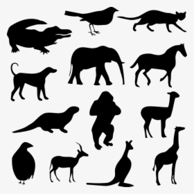Alligator, Animal, Bird, Cat, Crocodile, Dog, Elephant - Desenho De Sombra De Animais, HD Png Download, Transparent PNG