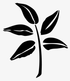Leaf Silhouette Png Clip Arts - Plant Leaf Silhouette, Transparent Png, Transparent PNG