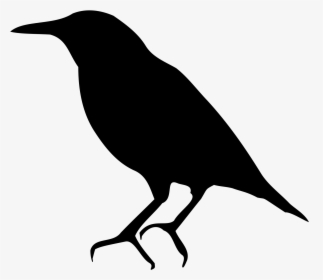 Bird Common Starling American Crow Silhouette - European Starling Clip Art, HD Png Download, Transparent PNG