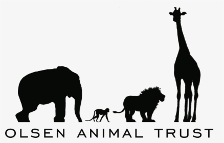 Olsen Animal Trust Logo, HD Png Download, Transparent PNG