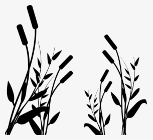 Botany,plant,flower - Силуэт Камыш Png, Transparent Png, Transparent PNG