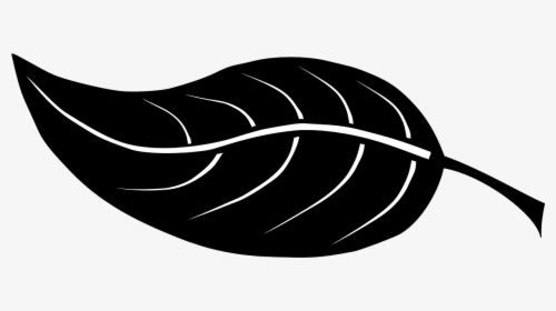 Free Vector Graphic - Black And White Vector Leaf, HD Png Download, Transparent PNG