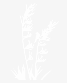 Nz Flax Plant Silhouette, HD Png Download, Transparent PNG