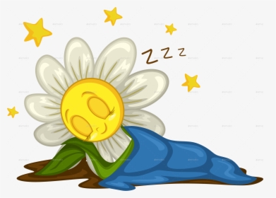 Sleeping Daisy, HD Png Download, Transparent PNG