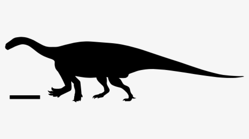 Antetonitrus Silhouette - Lesothosaurus, HD Png Download, Transparent PNG