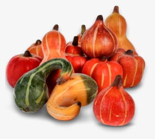 Pumpkin, Fall, Autumn, Harvest, Thanksgiving, Season - Calabaza, HD Png Download, Transparent PNG