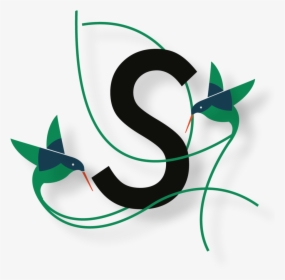 Streamertail Dancing-06, HD Png Download, Transparent PNG