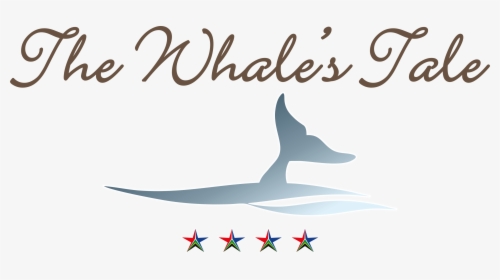 Hermanus Whale S Tail Guesthouse - Calligraphy, HD Png Download, Transparent PNG