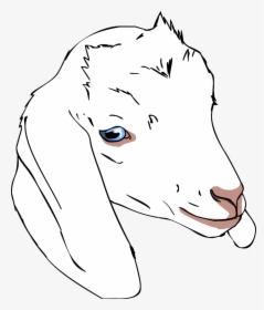 Draw A Goat Head, HD Png Download, Transparent PNG