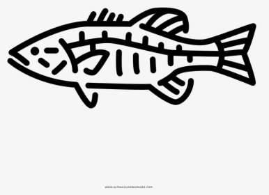 Transparent Largemouth Bass Clipart - Small Bass Fish Tattoo, HD Png Download, Transparent PNG