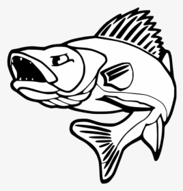 Collection Of Free Bass Drawing Walleye Download On - Walleye Fishing, HD Png Download, Transparent PNG