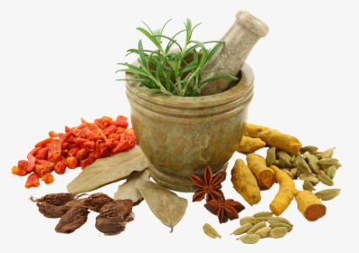 Spices Photo Png - Herbal Png, Transparent Png, Transparent PNG