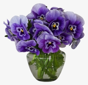 Violets Bouquet Gallery Yopriceville - Violets Flower In A Vase, HD Png Download, Transparent PNG