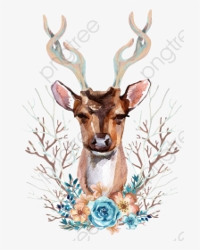 Transparent Deer Antlers Clipart - Deer Front View, HD Png Download, Transparent PNG