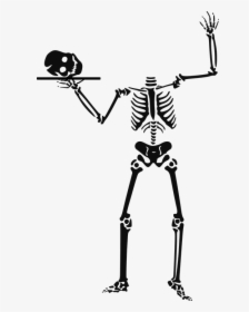 Skeleton 151169 960 720 Pixabay - Halloween Skeleton Clipart, HD Png Download, Transparent PNG