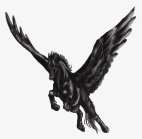 Black Pegasus - Black And White Winged Horse, HD Png Download, Transparent PNG