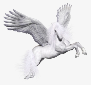 Pegasus Png Image - Пегас Анимация На Прозрачном Фоне, Transparent Png, Transparent PNG