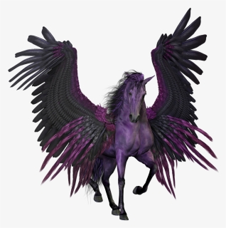 Pegasus, Flying, Winged, Horse, Pony, Myth - Black And Purple Pegasus, HD Png Download, Transparent PNG