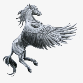 Pegasus Horse , Png Download - Pegasus Horse, Transparent Png, Transparent PNG
