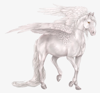 Transparent Pegasus Png - Portable Network Graphics, Png Download, Transparent PNG