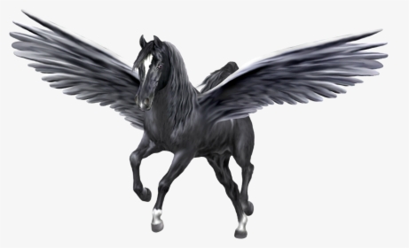 Unicorn Pegasus, HD Png Download, Transparent PNG