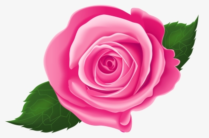 Transparent Rose Vines Png - Transparent Background Rose Clipart, Png Download, Transparent PNG