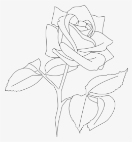 Art,symmetry,monochrome Photography - Flower Line Art Rose, HD Png Download, Transparent PNG