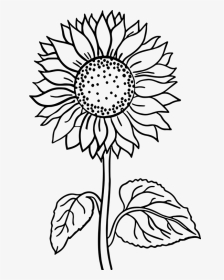 Flower, Black And White Flower, Line Art, Art Flower - Sunflower Flower Coloring Pages, HD Png Download, Transparent PNG