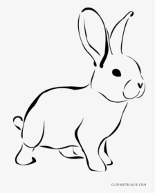 Rabbit Outline Animal Free Black White Clipart Images - Rabbit Images In Clipart, HD Png Download, Transparent PNG