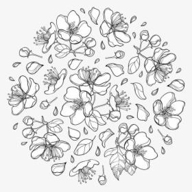 #blossom #appleblossom #flower #overlay #lineart #line - Line Art, HD Png Download, Transparent PNG