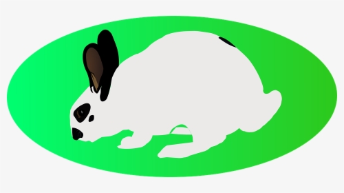 Easter, White Rabbit, Green Ellipse, Long Eared - Cartoon, HD Png Download, Transparent PNG