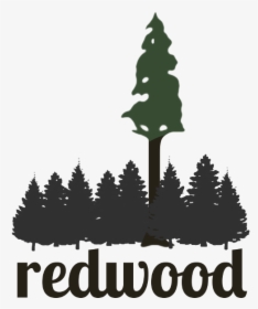 Redwood - Redwood Tree Clup Art, HD Png Download, Transparent PNG