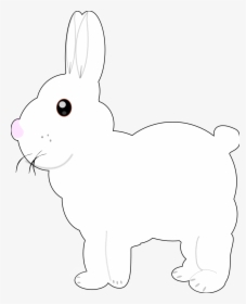 Transparent Bunny Clipart Black And White - Domestic Rabbit, HD Png Download, Transparent PNG