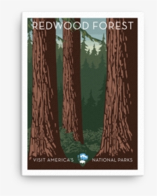 Redwood Forest Canvas - Picture Frame, HD Png Download, Transparent PNG