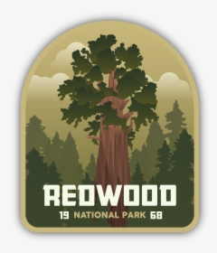 Redwood National Park Sticker - Gambel Oak, HD Png Download, Transparent PNG