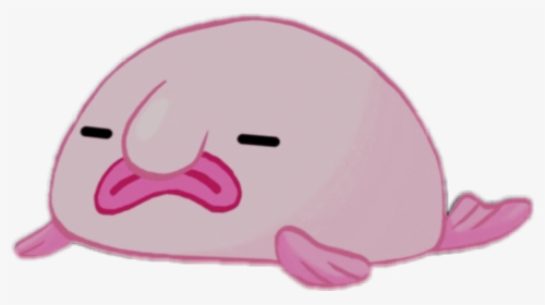 Blobfish Animal FlowVella Snout PNG, Clipart, Animal, Blobfish, Cheek,  Closeup, Face Free PNG Download