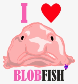 Pink Interesting Facts About Blobfish, HD Png Download, Transparent PNG