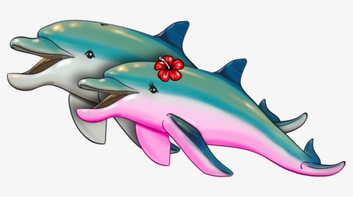 Donald & Daisy The Dolphins - Common Bottlenose Dolphin, HD Png Download, Transparent PNG