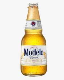 Modelo Beer, HD Png Download, Transparent PNG