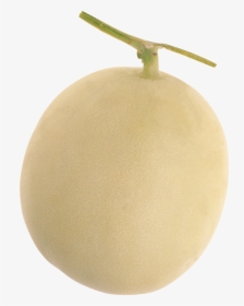 Melon Png - Kiwifruit, Transparent Png, Transparent PNG